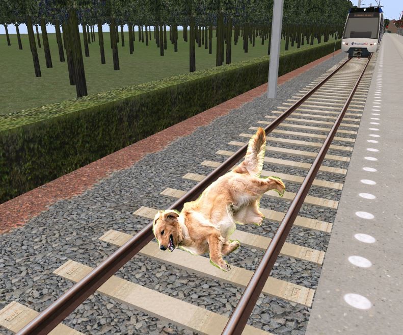 Dog Varenweg.JPG